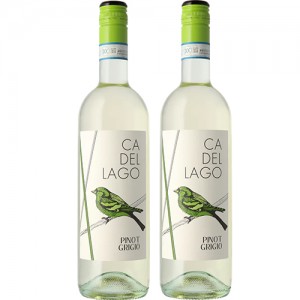 1+1 |Вино Італії Ca' Del Lago, Pinot Grigio Provincia Di Pavia, IGT, Біле, Сухе, 0.75 л [8003625035947]