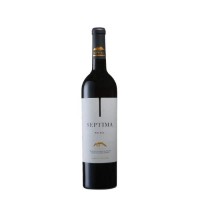 Вино Аргентини Septima Malbec, Lujan de Cuyo, 13.5%, Червоне, Сухе, 0.75 л [7798078230025]