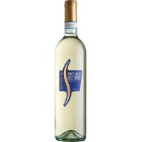 Вино Salvalai Pinot Grigio Delle Venezie DOC, біле сухе 0.75 л, 12.5% [8005276011608_8005276305707]