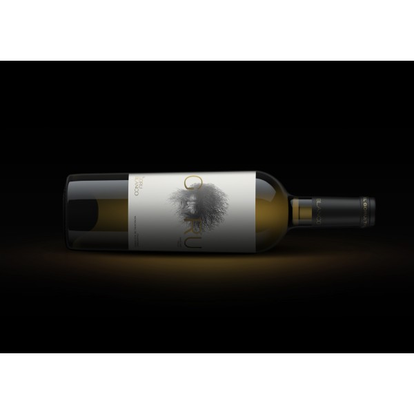 Вино Испании, Ego Bodegas, Goru El Blanco / Его Бодегас, Гору Ель Бланко, Белое, Сухое, 13%, 0.75 л