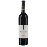 Вино Аргентини Septima Cabernet Sauvignon, Lujan de Cuyo, 14.0%, Чер, Сух, 0.75 л [7798078230032]