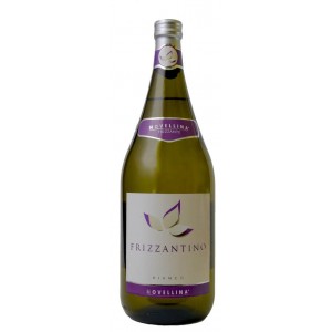 Вино ігристе Італії Frizzantino Bianco Novellina 8% 1.5 л [8004300360743]