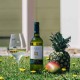 Вино Іспанії, Legaris, Sauvignon Blanc / Легаріс, Совіньйон Блан ,Біле, Сухе, 13%, 0.75 л