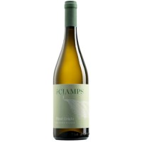 Вино Cjamps, Pinot Grigio / Кампс, Піно Гріджо, Delle Venezie DOC, Біле, Сухе, 12%, 0.75 л [8000468311368]