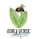 Вино Ego Bodegas, El Goru Verde Organic / Эго Бодегас, Эль Гору Верде Органик, Красное, Сухое, 14%, 0.75 л