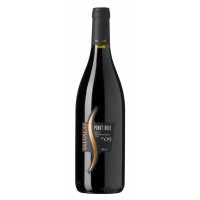 Вино Италии Salvalai Pinot Noir / Сальвалай Пино Нуар, Кр, Сух, 0.75 л [8005276018010]
