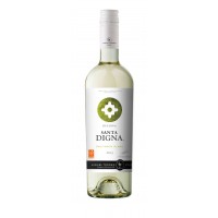 Вино Чили Torres Santa Digna Sauvignon Blanc / Торрес Санта Дигна Совиньон Блан, Бел, Сух, 0.75 л [8410113005113]