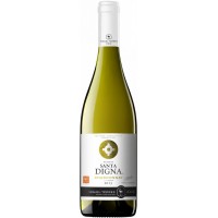 Вино Чили Torres Santa Digna Chardonnay / Торрес Санта Дигна Шардоне, Бел, Сух, 0.75 л [8410113005151]