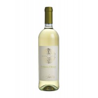 Вино Италии Casa Vinicola Poletti, Trebbiano d'Abruzzo / Треббьяно д'Абруццо, белое, сухое, 11,8%, 0.75 л [8001651336953]