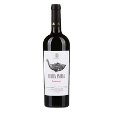 Вино Грузії Terra Initia Banovani Red, Червоне, Сухе, 0.75 л