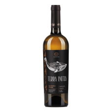 Вино Грузії Rkatsiteli Qvevri, Червоне, Сухе, 0.75 л
