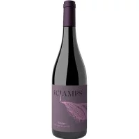Вино Cjamps, Merlot / Кампс, Мерло, Червоне, Сухе, 12%, 0.75 л