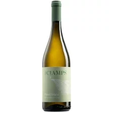 Вино Cjamps, Pinot Grigio / Кампс, Піно Гріджо, Біле, Сухе, 12%, 0.75 л