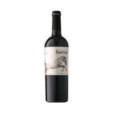Вино Іспанії, Ego Bodegas, Fuerza / Его Бодегас, Фуерза, Червоне, Сухе, 14.5%, 0.75 л